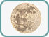 Map of the Moon 1679