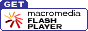 link to download Macromedia Flash Player